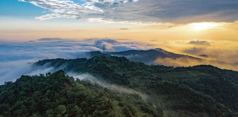 La photo aérienne prise le 10 juillet 2019 montre le paysage du parc forestier urbain de Longquanshan à Chengdu