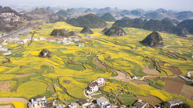 Photo aérienne prise le 3 mars 2022 du paysage de fleurs de colza dans le bourg de Mugang à Liupanshui