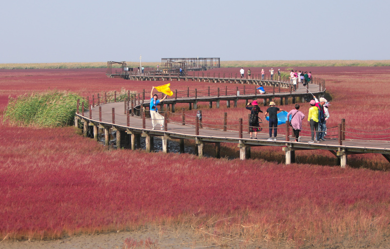 La zone touristique de la Plage rouge