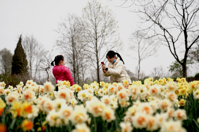 Deux visiteuses prennent des photos dans le Jardin botanique de Chenshan