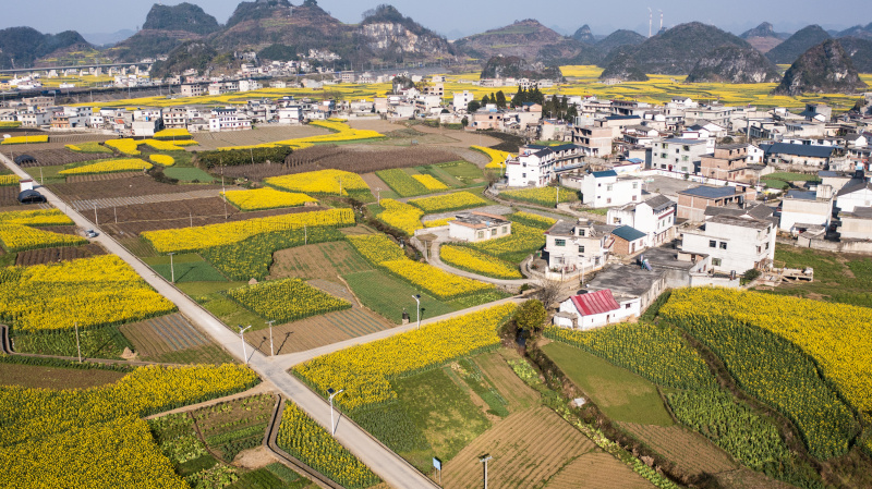 Photo aérienne prise le 3 mars 2022 du paysage de fleurs de colza dans le bourg de Mugang à Liupanshui