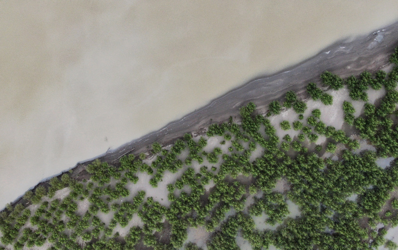 Vue aérienne d'une forêt-abri le long de la rivière Yarlung Zangbo à Shannan