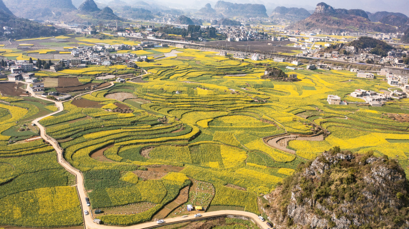Photo aérienne prise le 3 mars 2022 du paysage de fleurs de colza dans le bourg de Mugang à Liupanshui