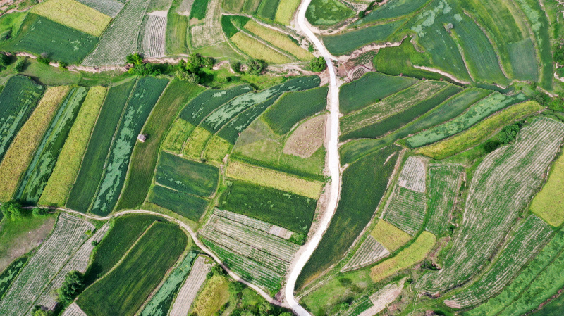 Photo aérienne montrant les champs en terrasse de Majiayuan dans le district autonome Hui de Zhangajiachuan à Tianshui
