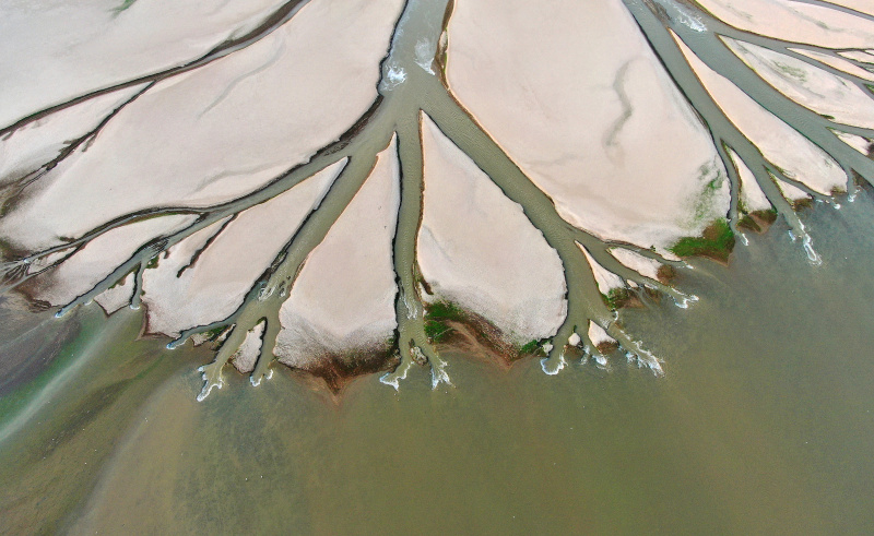 Vue aérienne d'une vasière présentant un paysage en forme d'arbre dans la section à Jinxian du lac Poyang