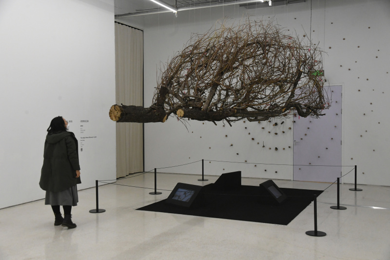 Une visiteuse contemple une installation à Blooming Echoes