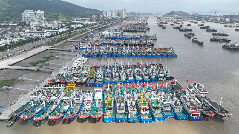 Photo aérienne prise le 1er août de bateaux de pêche s'abritant à l'approche du typhon Khanun dans le port de Shenjiamen