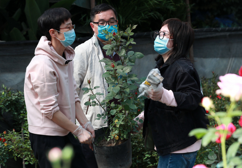 Des gens choisissent des plantes dans un marché aux fleurs à Wuhan