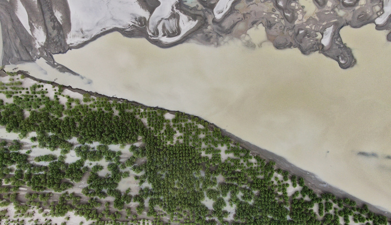 Vue aérienne d'une forêt-abri le long de la rivière Yarlung Zangbo à Shannan
