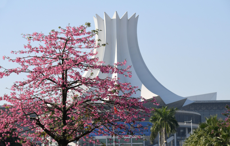 Photo prise le 7 décembre 2021 d'une vue du Centre international des congrès et des expositions de Nanning
