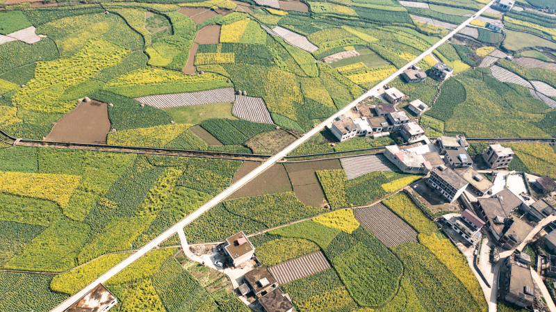Photo aérienne prise le 3 mars 2022 du paysage de fleurs de colza dans le bourg de Mugang à Liupanshui