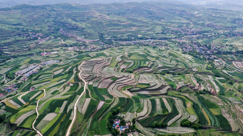 Photo aérienne montrant les champs en terrasse de Majiayuan dans le district autonome Hui de Zhangajiachuan à Tianshui