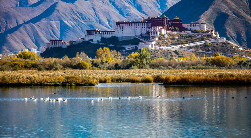 Photo prise le 5 novembre 2022 de la zone humide de Lhalu à Lhassa