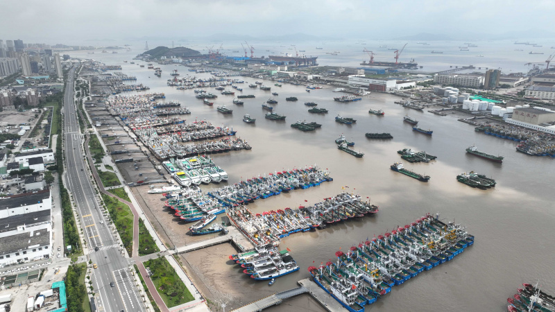 Photo aérienne prise le 1er août de bateaux de pêche s'abritant à l'approche du typhon Khanun dans le port de Shenjiamen