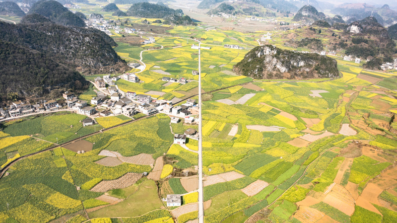 Photo aérienne prise le 3 mars 2022 du paysage de fleurs de colza dans le bourg de Mugang à Liupanshui