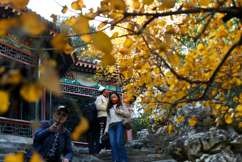 Des gens profitent du paysage automnal au parc Beihai