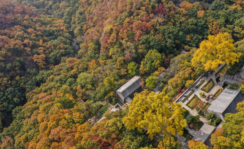 Photo aérienne prise le 25 octobre 2022 du paysage du site touristique de la montagne Panshan