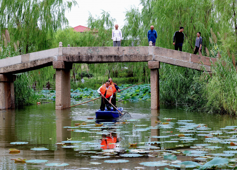 Des bénévoles nettoient un étang dans le village de Xucang du district de Changxing
