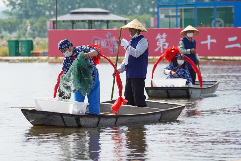 Des travailleurs pêchent des écrevisses lors d'un événement célébrant la saison de récolte des écrevisses dans le district de Xuyi