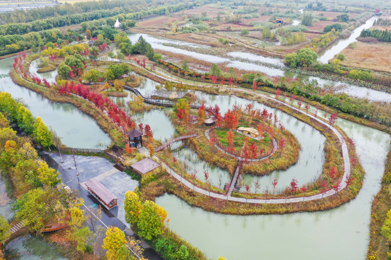 Photo aérienne du paysage automnal des zones humides du Lac Hongze