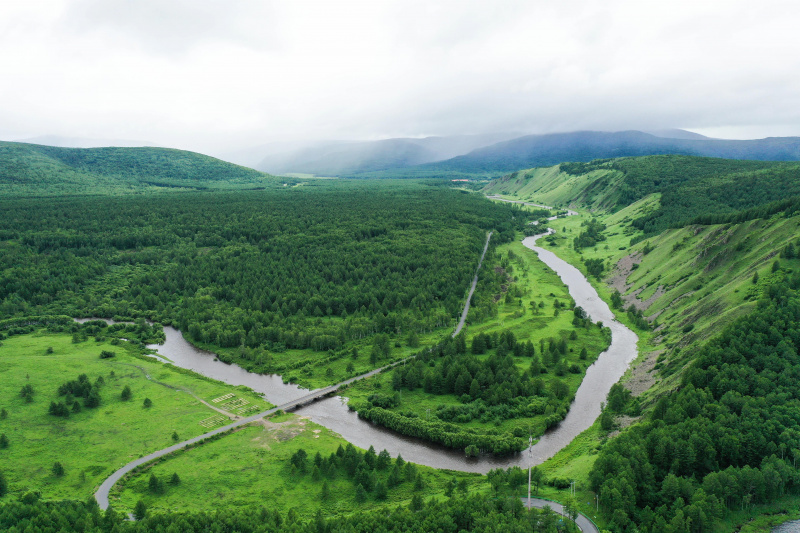Vue aérienne du paysage du parc national forestier d'Arxan