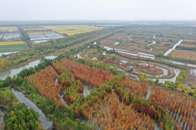 Photo aérienne du paysage automnal des zones humides du Lac Hongze