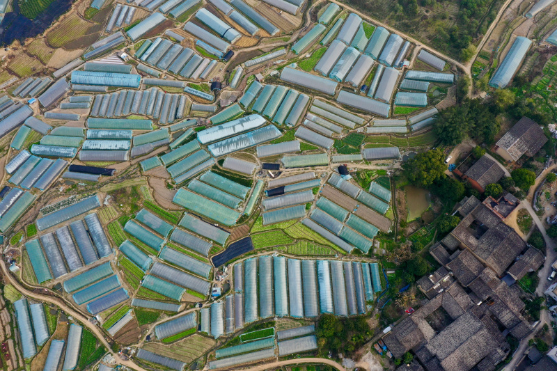 Vue aérienne d'une base de plantation de légumes dans le bourg de Jingxi