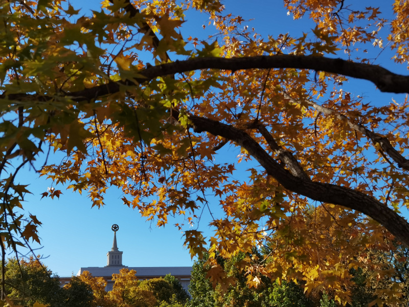 Vue d'automne près du Musée militaire de la révolution du peuple chinois à Beijing