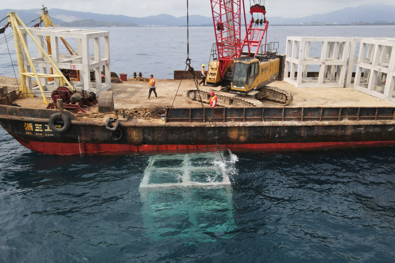 Des ouvriers posent des récifs artificiels près de l'île de Wuzhizhou