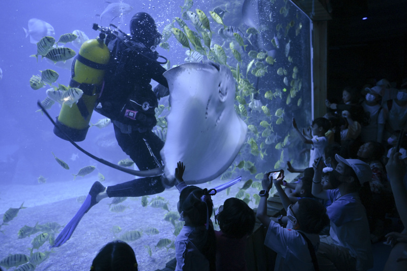 Des enfants regardent un spectacle interactif dans un aquarium à Fuzhou