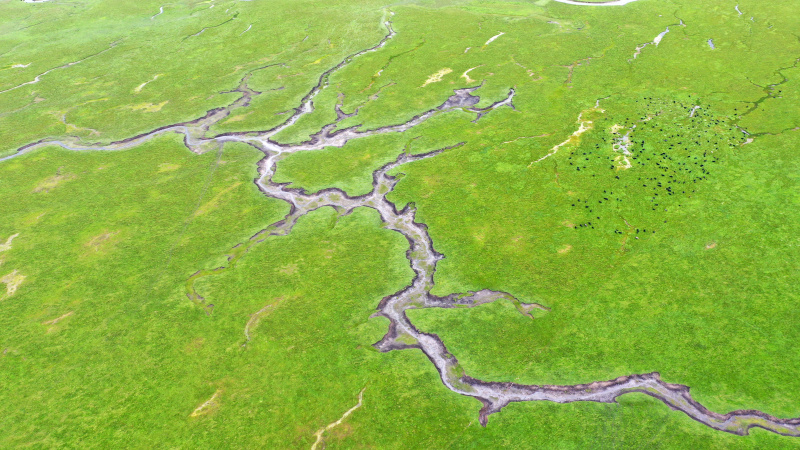 Photo aérienne des zones humides d'Awancang
