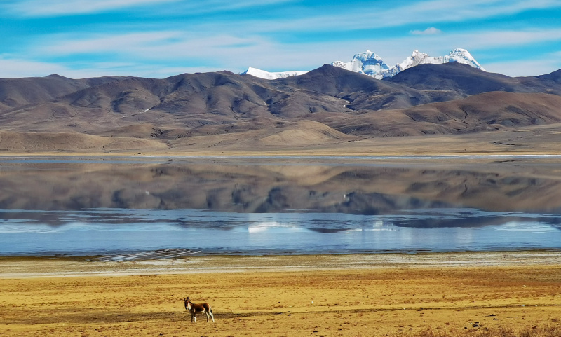 Photo prise le 4 décembre 2021 avec un téléphone portable du lac Zhegu en hiver dans la ville de Shannan