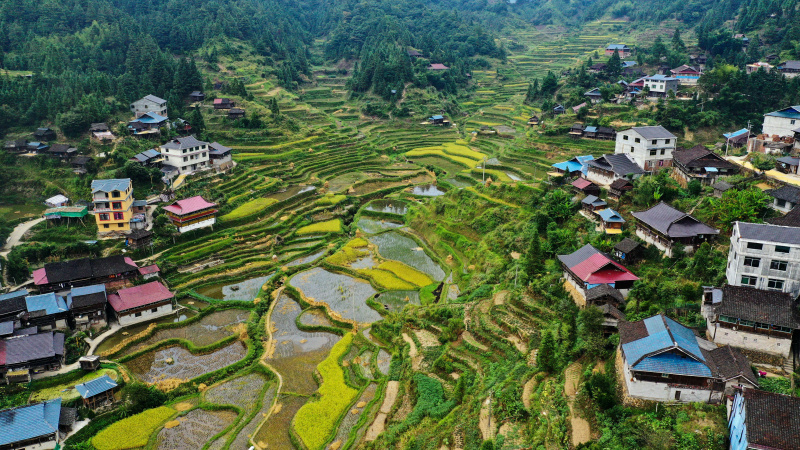 Le village de Liangshuang du bourg de Hongshui
