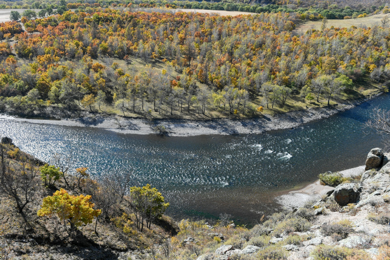 Paysage d'automne dans le bourg de Chaihe de la ville de Zhalantun