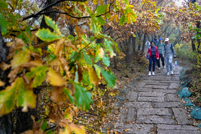 Des personnes visitent la Réserve naturelle nationale de Baihuashan