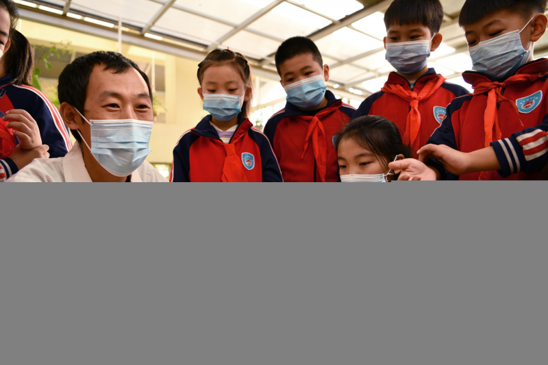 Des élèves suivent un cours de médecine traditionnelle chinoise à Shijiazhuang