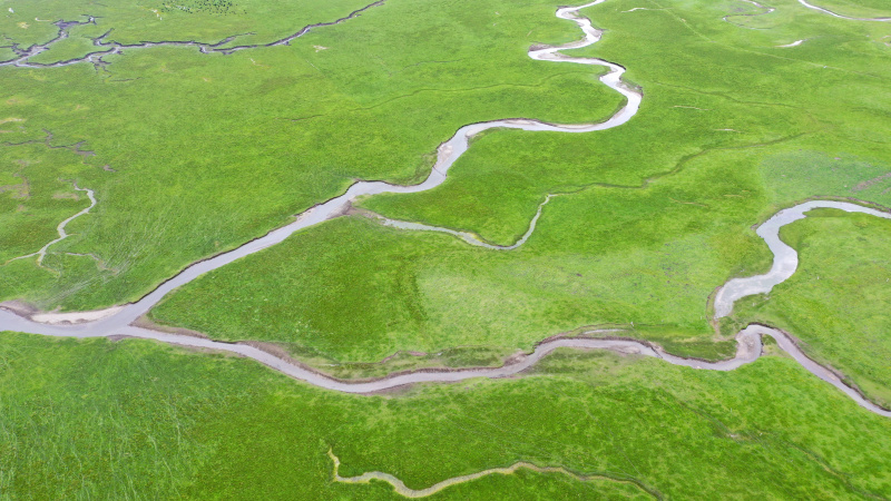 Photo aérienne des zones humides d'Awancang