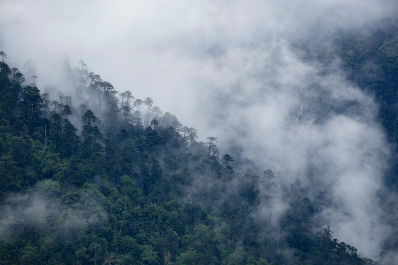 Paysage d'une vallée dans le district de Cona