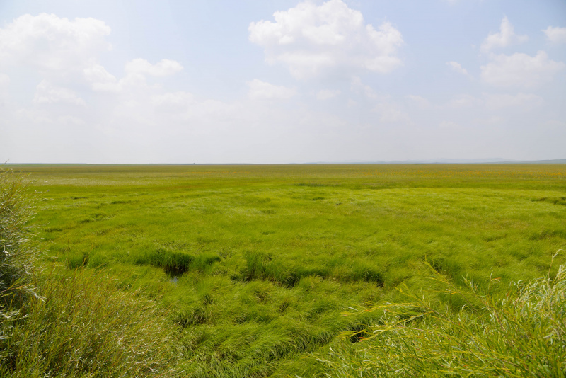 Paysage du pâturage de Jinlianchuan dans la bannière de Zhenglan de la Ligue Xilingol