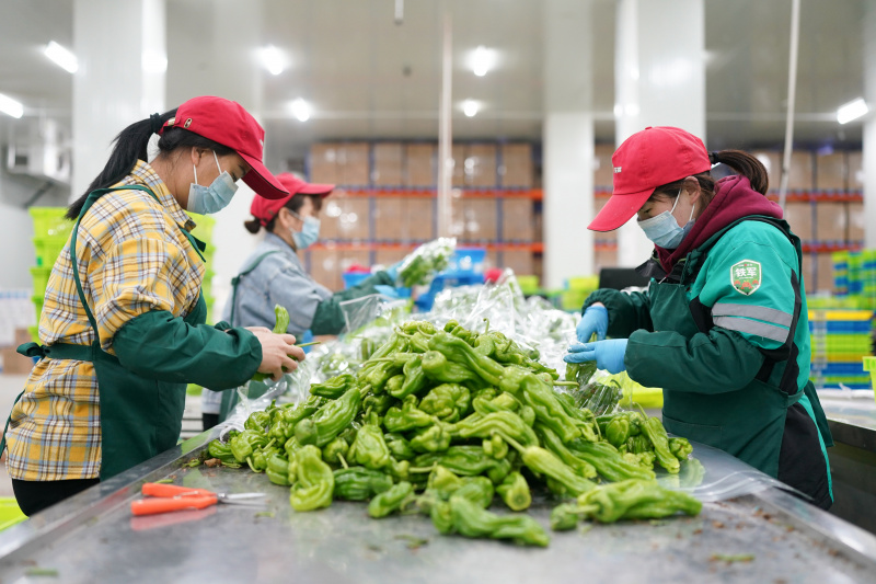 Des ouvriers travaillent dans un entrepôt de légumes dans l'arrondissement de Songjiang