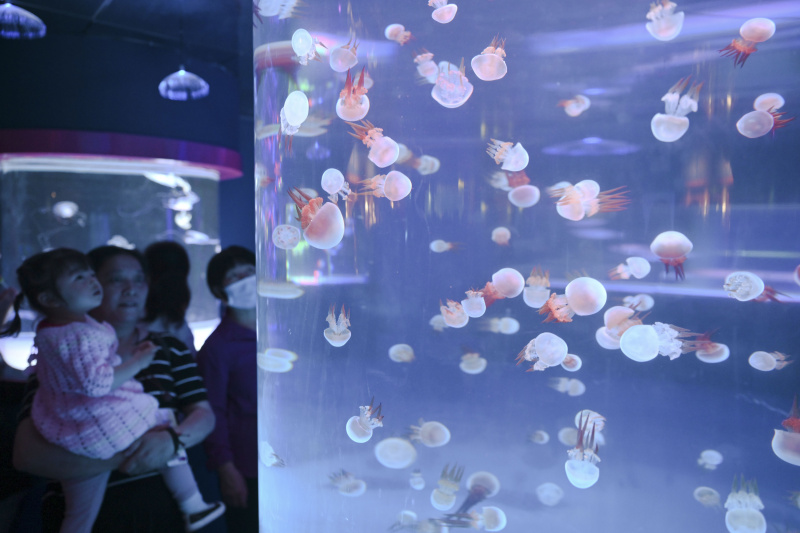 Des gens visitent un aquarium à Fuzhou
