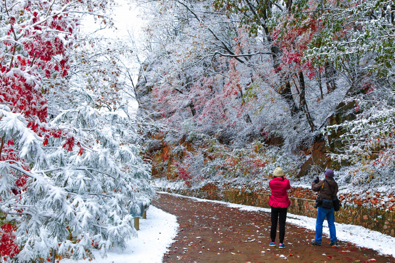Des touristes admirent le paysage du parc forestier de Tianqiaogou après une chute de neige