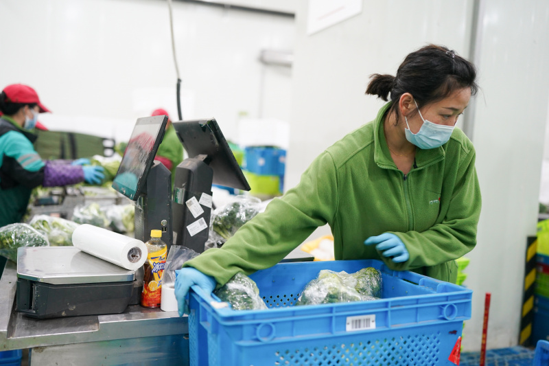 Des ouvriers travaillent dans un entrepôt de légumes dans l'arrondissement de Songjiang
