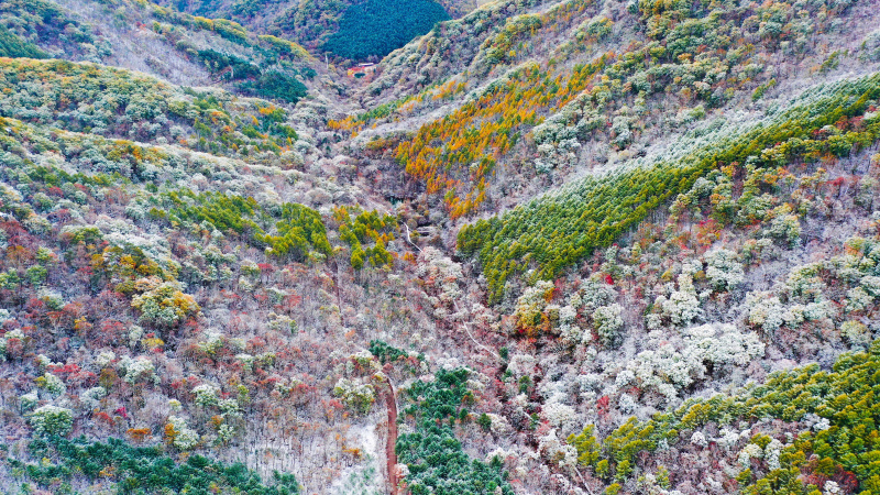 Paysage du parc forestier de Tianqiaogou après une chute de neige