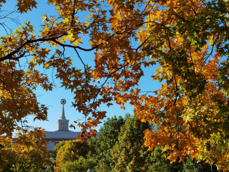 Vue d'automne près du Musée militaire de la révolution du peuple chinois à Beijing
