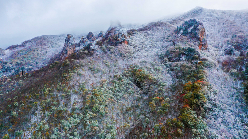 Paysage du parc forestier de Tianqiaogou après une chute de neige