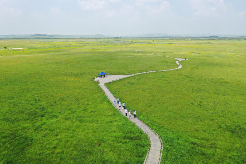Paysage du pâturage de Jinlianchuan dans la bannière de Zhenglan de la Ligue Xilingol