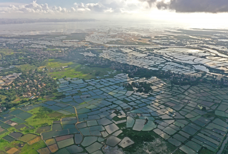 Vue aérienne d'étangs à crevettes dans le district de Hepu à Beihai