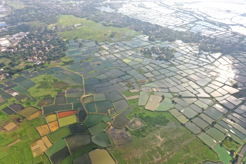 Vue aérienne d'étangs à crevettes dans le district de Hepu à Beihai