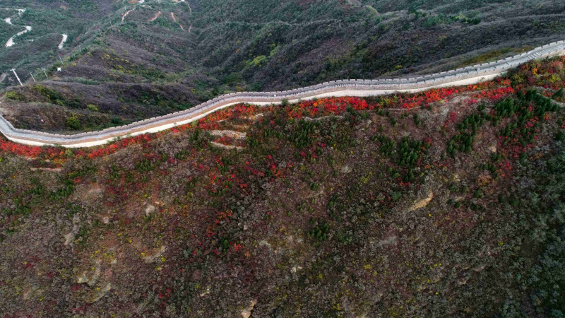 Photo aérienne du paysage automnal dans la zone pittoresque de Changqing